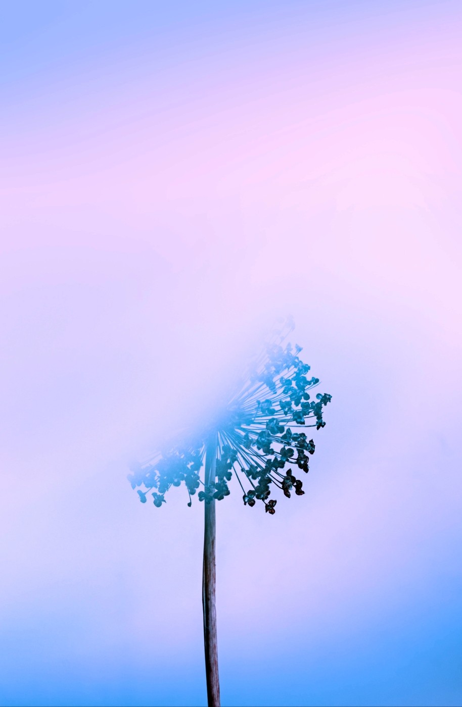 Carrier contract negotiation strategies